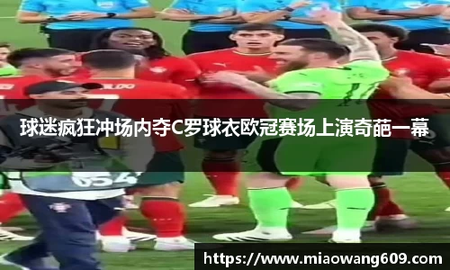 球迷疯狂冲场内夺C罗球衣欧冠赛场上演奇葩一幕