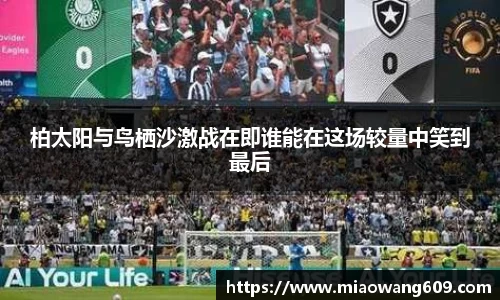 柏太阳与鸟栖沙激战在即谁能在这场较量中笑到最后